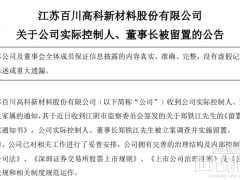又一儲能公司董事長，被立案、留置！